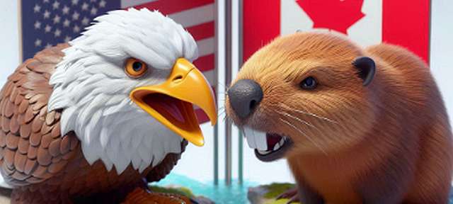 can.am .border.beaver.h