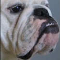 Brooks Nader Says She's Open to Dating Nonfamous People ba.bulldog.125 2